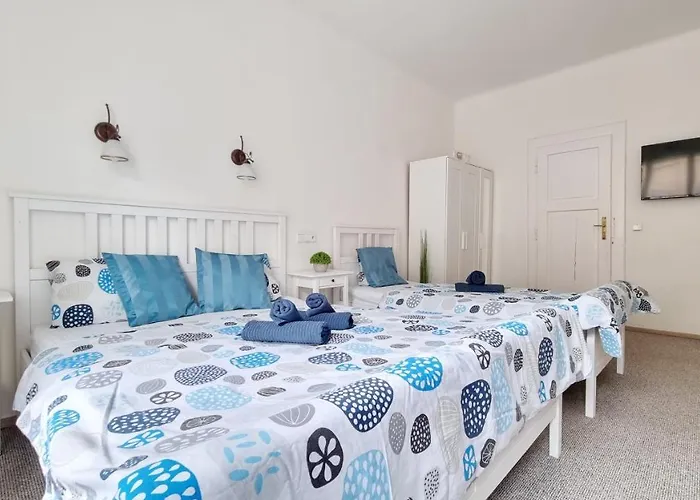Finnem Rentals Zikova