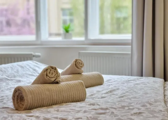 Finnem Rentals Zikova