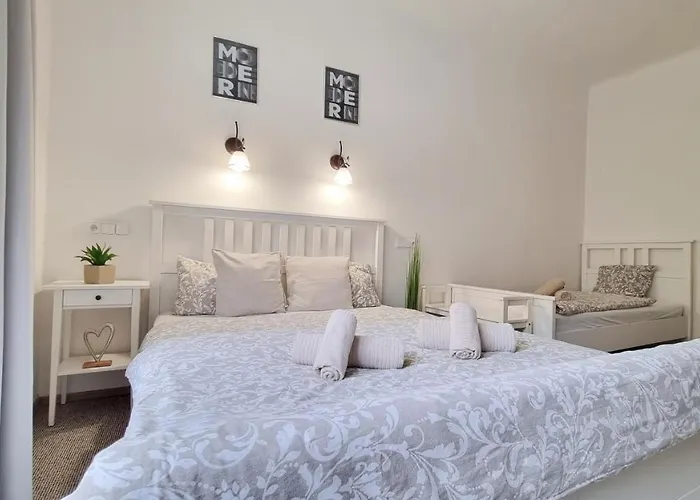 Finnem Rentals Zikova